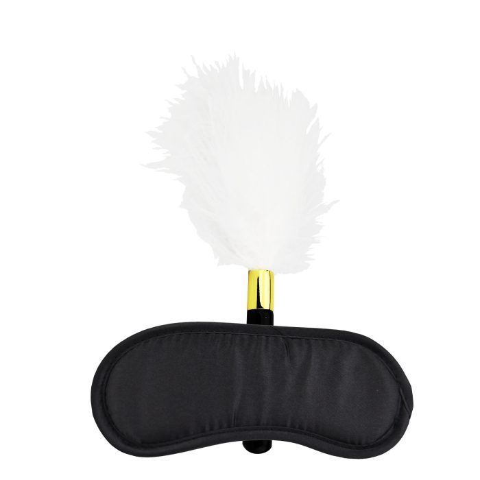 n12171 bound to play eye mask and feather tickler play kit