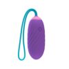 Party Color EGY Vibrating Love Egg Purple
