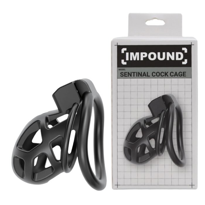 Impound Sentinal Cock Cage - Image 8